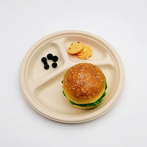 Assiettes jetables en bagasse de canne à sucre de 8 pouces en gros, boîte à lunch compostable, vaisselle écologique pour fêtes et camping - Product Image 5