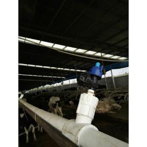 Sistema de Rociadores Automáticos de Plástico para Enfriamiento y Desinfección de Establos de Vacas - Product Image 1