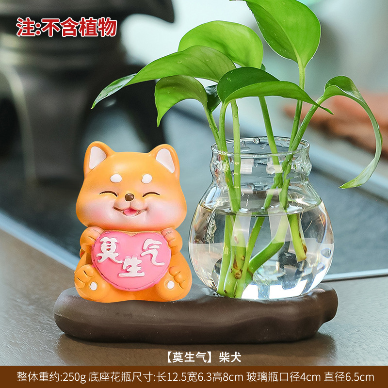 No te enfades [Shiba Inu] Hidroponía cerámica