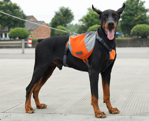 Tali anjing ritsleting kartun baru untuk anak-anak tutup luar ruangan berkelanjutan Hiking petualangan ransel pengekang hewan peliharaan - Product Image 1