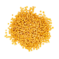 Achetez des graines de moutarde jaunes entières, naturelles, qualité alimentaire, haute pureté, qualité export, en vrac, en provenance d'Inde