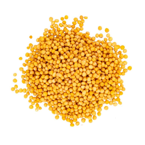 Achetez des graines de moutarde jaunes entières, naturelles, qualité alimentaire, haute pureté, qualité export, en vrac, en provenance d'Inde - Product Image 2