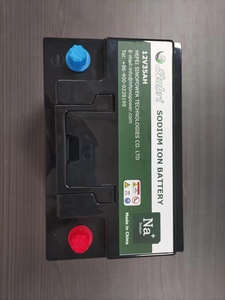 Натриево-ионный аккумулятор для двигателя - Product Image 6