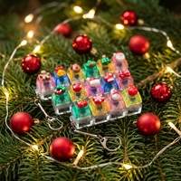 Porte-clés personnalisé Chrismars Fidget Clicker, breloques en résine, vente en gros, usine chinoise, faible MOQ, clé mécanique Fidget Toy Anime Clicker