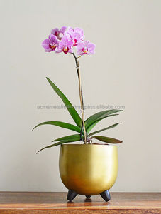 Juego de Dos Macetas de Metal y Vidrio en Formas Personalizadas, Múltiples Tamaños, Macetas y Jardineras de Alta Calidad para Interiores del Hogar - Product Image 6