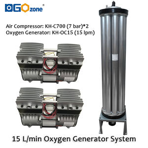 DGOzone 5 litri PSA generatore di ossigeno sistema 5l/min concentratore di ossigeno con compressore d'aria - Product Image 6