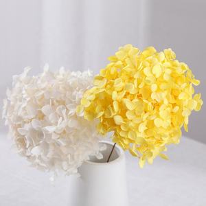 Venta al por mayor precio barato real natural conservado Flor de hortensia tamaño pequeño Anna conservado Hortensia para arreglo floral - Product Image 5
