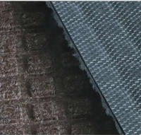 Puro de Dacron de poliéster Material de fibra de respaldo de PVC absorción de agua de entrada de puerta de piso Mat