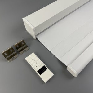 2026 New Cassette màn <span class=keywords><strong>Zebra</strong></span> mù cho thiết kế cơ giới điều khiển từ xa - Product Image 1