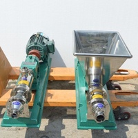 Pompe à vis simple à cavité progressive avec rotor et stator, mini pompe hélicoïdale verticale à double vis en acier inoxydable