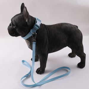 Conjunto de correas de poliéster impermeable suave de Pvc duradero colorido personalizado, conjunto de correas de collar de perro pequeño para caminar plomo - Product Image 6