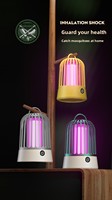 Raquette électrique anti-insectes LED, portable, intérieur/extérieur, piège à moustiques, batterie incluse, indice de protection IP33, répulsif contre les moustiques