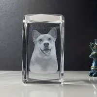 Sculpture photo personnalisée en cristal pour animaux de compagnie, cadeau de décoration, veilleuse LED pour famille, amis, parents, noël