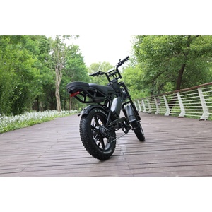 Vélo électrique Ecoride V8 750 W, pneus larges 15 Ah, livraison gratuite, double selle, tout-terrain - Product Image 1