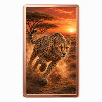 Koin Tembaga High Relief 1 Troy oz .999 Tembaga Murni Persegi Panjang Motif Cheetah Satwa Liar Cetak UV Warna-warni Koin Tembaga