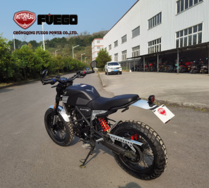 Motocicleta FUEGO Scrambler <span class=keywords><strong>250</strong></span> - Product Image 3