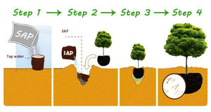 Polimero Super Assorbente SAP ad Alta Efficienza, Poliacrilato di Potassio 99% di Purezza, Marca Kexing per Agente di Ritenzione Idrica - Product Image 3