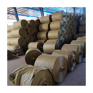 Tessuto trasparente Pp/foglio/tessuto in rotolo per la produzione di borse/sacchi e come materiale da imballaggio come panno e così via - Product Image 4