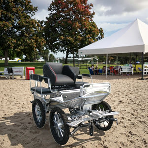 घुड़सवारी उपकरण के लिए स्टेनलेस स्टील मैराथन घोड़े कैरिज कैरिज - Product Image 5