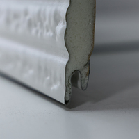 Panneaux muraux isolés, résistants au feu, écologiques, design moderne, panneaux sandwich en polyuréthane, bardage en acier galvanisé, chambre froide, hôtel