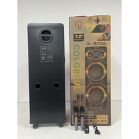 Système de haut-parleurs de karaoké 2x 12 pouces avec basses et tweeters, USB/RCA/XLR, lumière RGB en plastique, micro, 150W