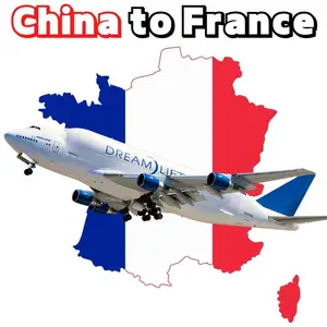 Agente de transporte rápido UPS DHL FEDEX TNT EMS transitário expresso da China Yiwu/Guangzhou/Shenzhen para França Paris