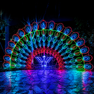 Fabricant de lumières LED 3D à motif paon pour Noël, fournisseur chinois de décorations de vacances extérieures personnalisées, OEM ODM - Product Image 5