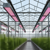 Solution LED pour serre commerciale IP65 800W/1000W, barre lumineuse de culture à spectre complet, rouge intense, gradation 0-10V, canal unique, PPE3.6 MAX