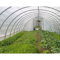 Serre de serre agricole/commerciale de bonne qualité et facile à installer