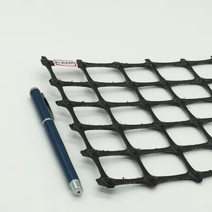 공장 저렴한 가격 플라스틱 재료 이축 지오그리드 <span class=keywords><strong>bx1100</strong></span> bx1200 텐사 지오그리드 가격 지오그리드 - Product Image 3