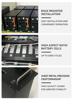 Batterie LiFePO4 24V 48V 51.2V 100Ah 300Ah pour stockage solaire mural/à rack avec BMS CAN/RS485 pour onduleur