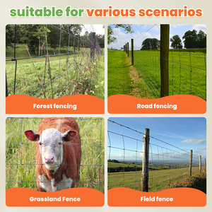 4ft x 165ft Hot Dipped Galvanized Wire Field Fence 6x6 Inch <b>Mesh</b> Hinge Joint Cattle Fence - Product Image 5