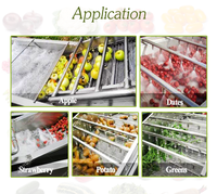 Ligne de nettoyage automatique professionnelle à grande échelle pour légumes (choux, épinards) – Machines de traitement des fruits et légumes
