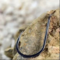Isini Hameçon à barbelures pour boîte de rangement, 100 pièces, en acier à haute teneur en carbone, pour la pêche en eau profonde, la pêche à la ligne, la pêche au Luya, à manche long et à profil mince