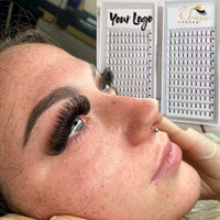 Extensions de cils noirs foncés 0,07 0,10 mm, courbures C D CC DD, tiges courtes, 2D 3D 4D 5D 6D 7D, cils pré-faits en éventail, fournisseur