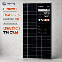 Module solaire Tongwei TWMHF-66HD 715W-725W N-Type TOPCon bifacial à double vitrage demi-cellule
