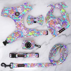 Patrones creativos personalizados, diseño de arnés para cachorros, collares ajustables de neopreno para perros y Correa, bolsa para caca, perro que camina - Product Image 4
