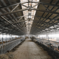 Poulailler préfabriqué moderne avec murs isolés et ventilation du toit, idéal pour l'élevage avicole commercial