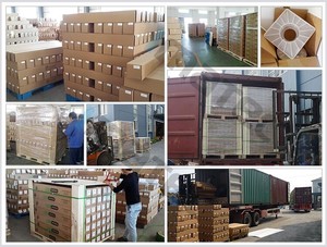 Rotolo di Carta Artistica Pressata a Freddo 210gsm per Stampa con Inchiostro a Pigmenti - Product Image 6