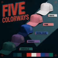Casquette Trucker Classique en Gros, Dos en Maille Respirant, Style Rétro, Casquettes de Sport, Commande en Gros pour Distributeurs, Stock Prêt, Faible MOQ