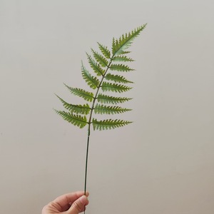 <span class=keywords><strong>En</strong></span> gros Offre Spéciale Pas Cher Artificielle Vraie Touche Fougère <span class=keywords><strong>En</strong></span> <span class=keywords><strong>Plastique</strong></span> Feuilles <span class=keywords><strong>Feuillage</strong></span> Pour Bouquet Maison Décoration De Mariage - Product Image 6