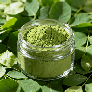 Terbaik penjual 100% murni alami liar daun Moringa bubuk Ekstrak organik makanan kelas Moringa daun bubuk kemasan Drum - Product Image 4