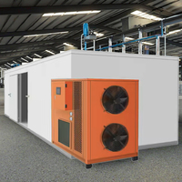 Hete Aanbieding BEAR Industriële Voedsel Dehydrator Oven 3-4 Ton Capaciteit 24kw Vermogen SUS304 Materiaal voor het Drogen van Kruiden Fruit Groenten