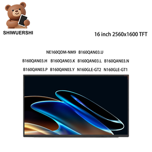 Panel de Pantalla LCD de 16 Pulgadas, 2560*1600, EDP, 40 Pines, Repuesto NE160QDM NM9 B160QAN03.<span class=keywords><strong>U</strong></span> B160QAN03.H B160QAN03.<span class=keywords><strong>K</strong></span> B160QAN03.<span class=keywords><strong>L</strong></span> B160QAN03.N - Product Image 1