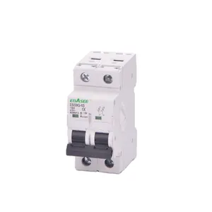 63A Electrical Double Pole Isolator Breaker Switch