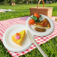 Assiettes jetables en papier naturel compostable, plateaux en bagasse de canne à sucre
