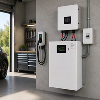 Batterie de stockage d'énergie domestique murale LiFePO4 48V 180Ah 8.64kWh, solaire hors réseau, CAN RS485 IP64 AC