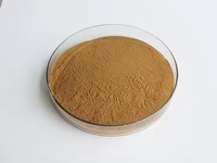 Venta caliente Magnolia Bark Extract Powder 50%-98% Magnolol