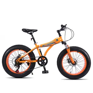 Hoge Kwaliteit Professionele Custom Sport Fat Tire Mountainbike Te Koop Speciale Fiets