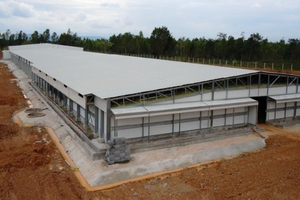 Lắp đặt nhanh Cấu trúc khung thép nhẹ chăn nuô<span class=keywords><strong>i</strong></span> gia cầm đúc sẵn - Product Image 4